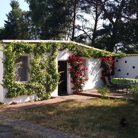 Ferienhaeuschen Villa Born Eksteriør bilde