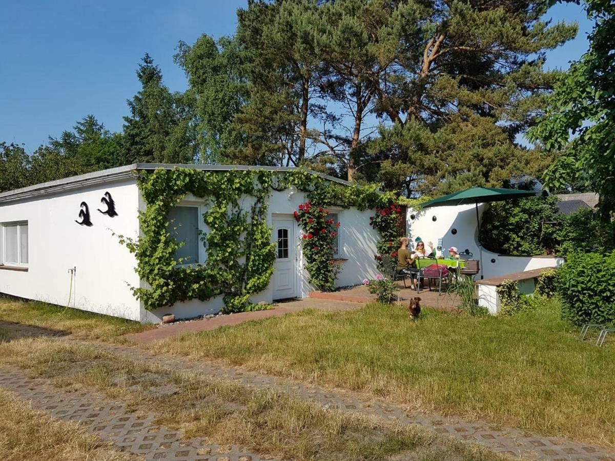 Ferienhaeuschen Villa Born Eksteriør bilde