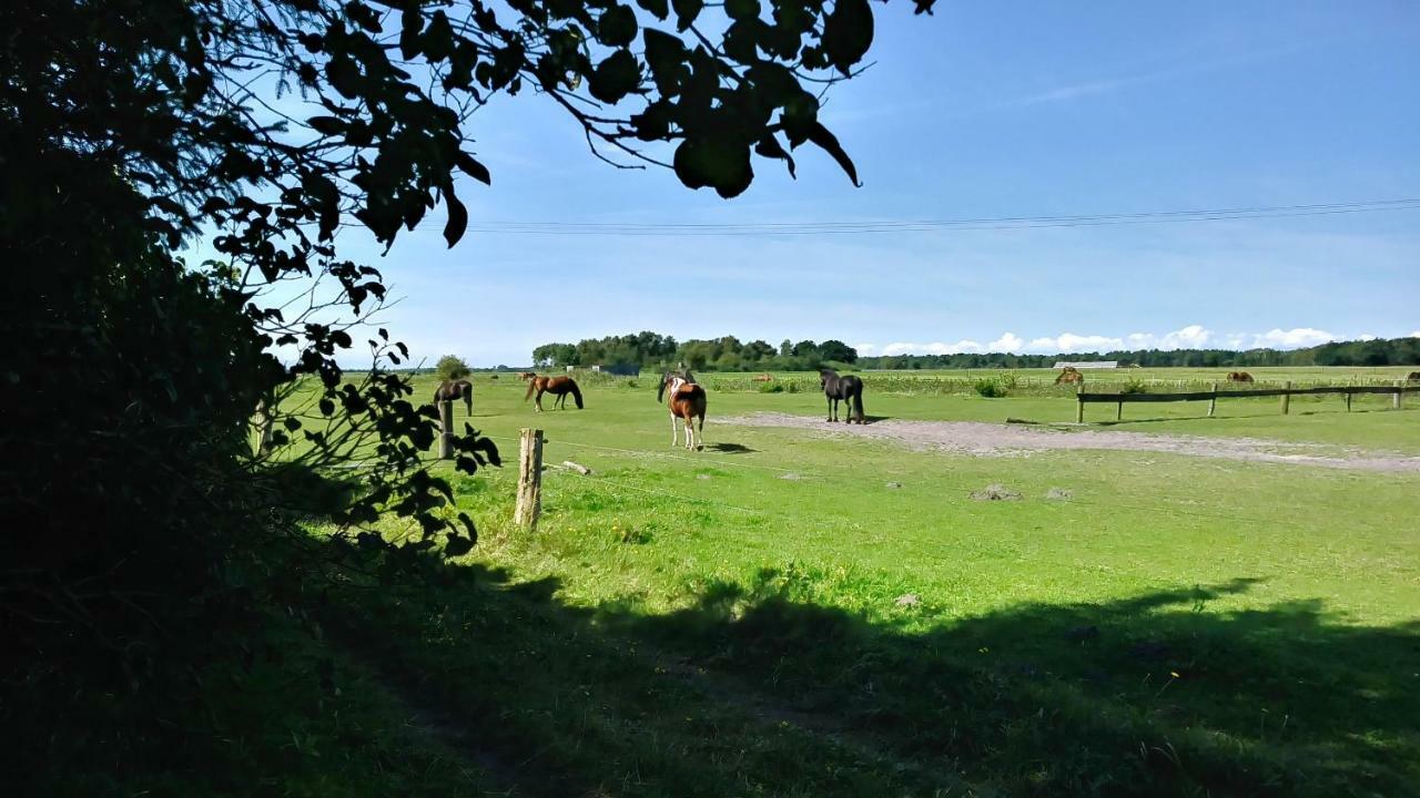 Ferienhaeuschen Villa Born Eksteriør bilde